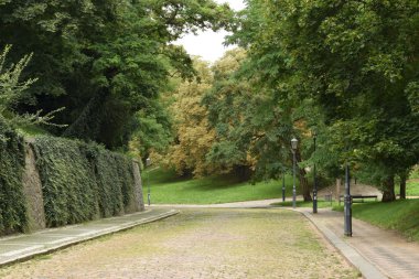 Park.