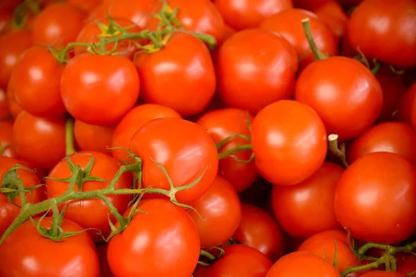 Tomato. — Stock Photo, Image