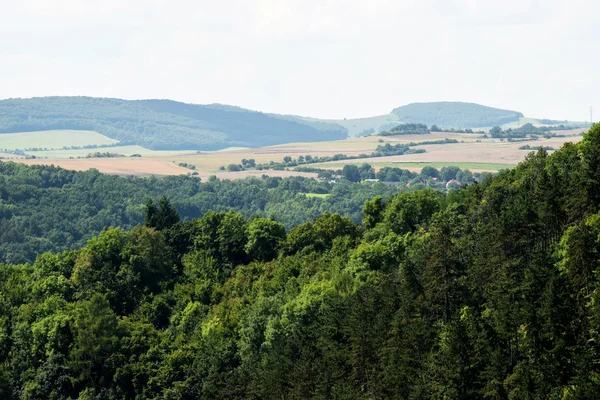 Sommer. — Stockfoto