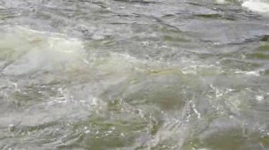 Relaxing by the beautiful water. Relaxing stock video footage. 