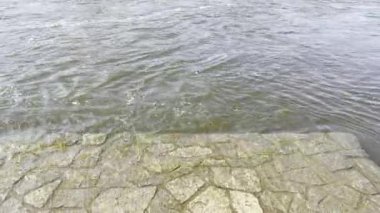 Relaxing by the beautiful water. Relaxing stock video footage. 