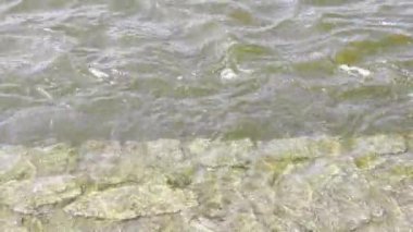 Relaxing by the beautiful water. Relaxing stock video footage. 