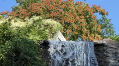 Waterfall in the middle of flowering trees. Relaxing stock video footage. 