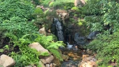 Waterfall in the middle of flowering trees and bushes.
