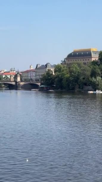 Prague Czech Republic European Union Vertical Video Social Media Relaxing — ストック動画