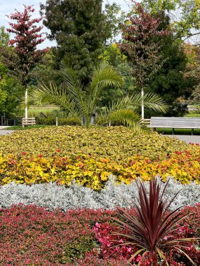 Parktaki inanılmaz güzel çiçekler..