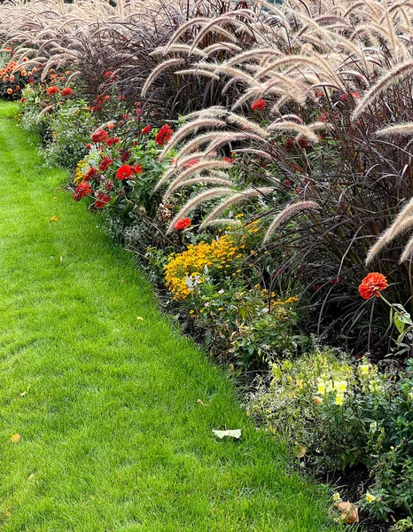 Des Fleurs Incroyablement Belles Dans Parc — Photo