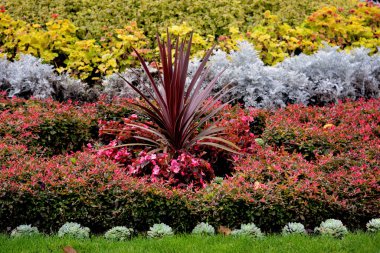 Parktaki inanılmaz güzel çiçekler..