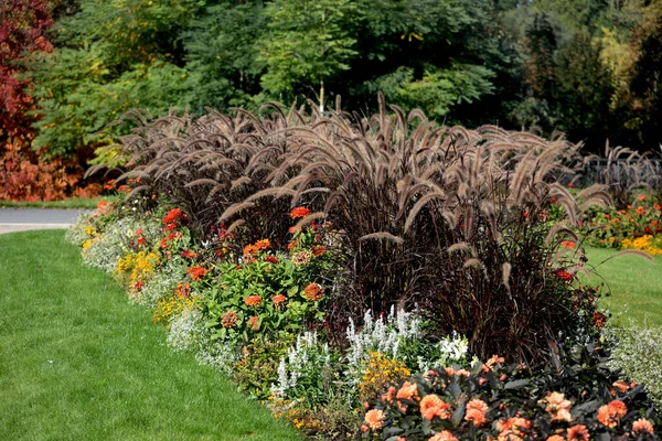 Amazingly Beautiful Flowers Park — Stock Photo, Image