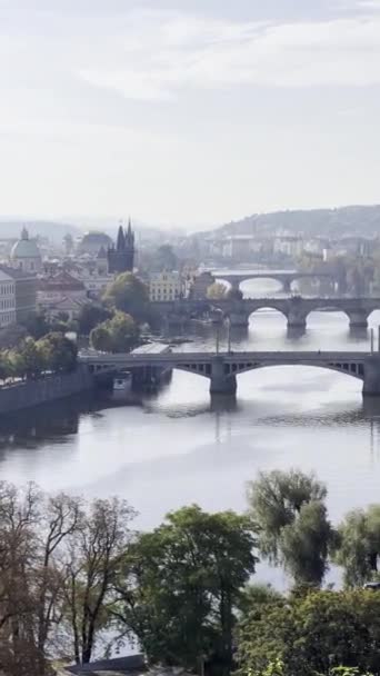 Prague Czech Republic European Union Vertical Video Social Media Relaxing — Video Stock