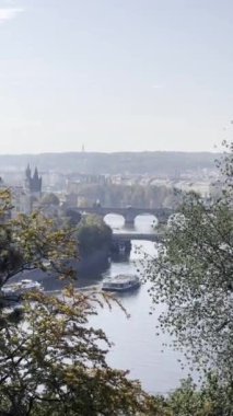 Prague. Czech Republic. European Union. Vertical video for social media. Relaxing stock video footage.