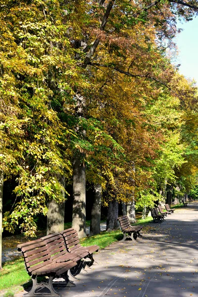 Autumn All Its Glory Amazing Colors Autumn — Stock Photo, Image