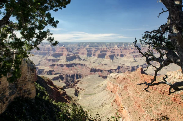 Grand canyon colorado Verenigde Staten, arizona — Stockfoto