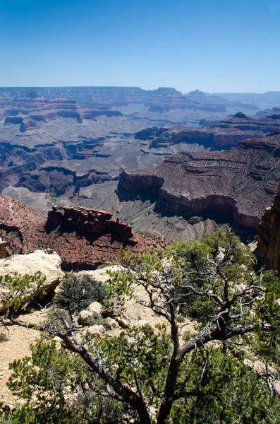 Grand Canyon Colorado Estados Unidos, Arizona — Fotografia de Stock