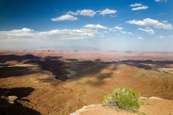 Parque Nacional de Canyonlands no sudeste do Utah — Fotografia de Stock