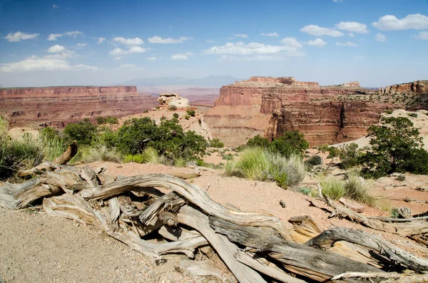 Parc national des Canyonlands dans le sud-est de l'Utah — Photo