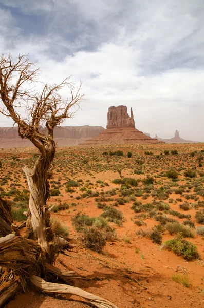 Pomnik Dolina - arizona, Stany Zjednoczone Ameryki — Zdjęcie stockowe