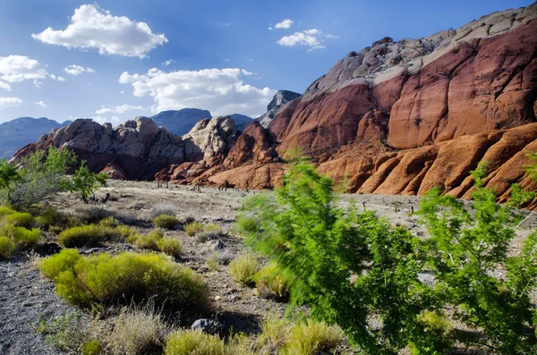 Red Rock Canyon - Area Nazionale di Conservazione — Foto Stock