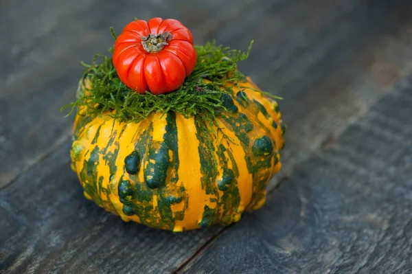 Pequeña Calabaza Decorativa Verde Amarilla Sobre Fondo Madera Con Espacio — Foto de Stock