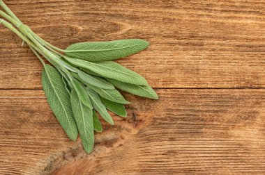 Yukarıdan taze adaçayı veya salvia officinalis yaprakları, metin için kopya alanı ile.
