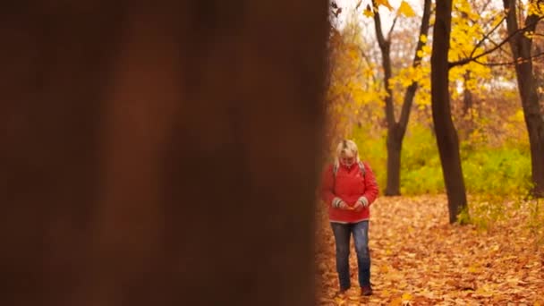 En voksen, blond kvinne på reise 50 år med ryggsekk går gjennom høstskogen i byen og nyter utsikten over trærne. – stockvideo