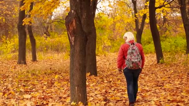 Доросла блондинка мандрівник 50 років з рюкзаком прогулюється по місту осіннім лісом, насолоджується прекрасним видом на дерева — стокове відео