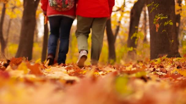 Gros plan d'un peuple jambes en bottes marchant dans la forêt d'automne sur des feuilles jaunes. — Video