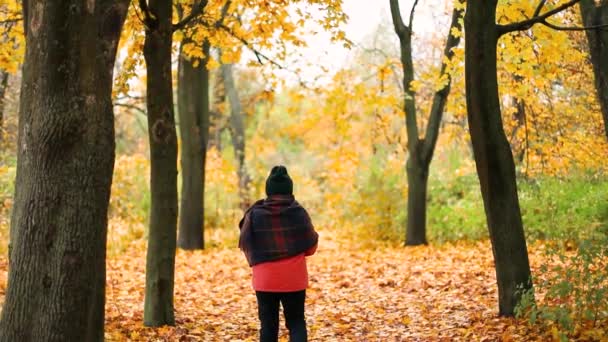 Vista posteriore della donna viaggiatore turistico con una calda sciarpa passeggiate in una bella foresta d'oro autunno — Video Stock