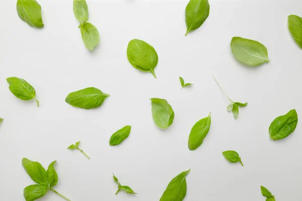 Green basil leaves pattern isolated on white background. Top view. Flat lay. — Stock Photo, Image