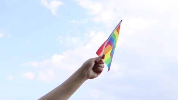 Menina mão com colorido arco-íris gay orgulho bandeira acenando no vento contra o fundo do pôr-do-sol céu. — Vídeo de Stock