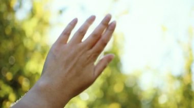 Yeşil ormanda gün batımında kadın eli. Parmakların arasından güneş ışınları
