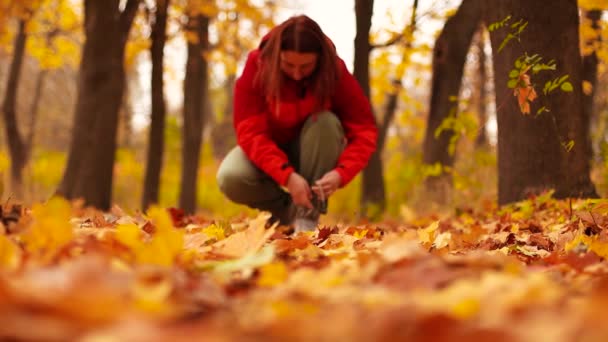Kadın ayakkabı bağcıklarını bağlıyor ve gün batımında bir sonbahar parkında yürüyor. — Stok video