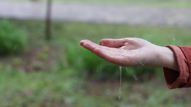 Rain water falling on a female hand. Environment concept, nature background — Stock Video