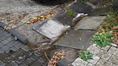 Çamurlu bir yağmurdan sonra parktaki yolu çamurlu su basmış. Yollarda bir sürü kanalizasyon var. Sokakları su basmış.