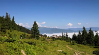 Etrafı ladin ormanlarıyla çevrili yeşil dağlar, doğa turizmi manzarası