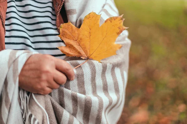 Fall season. Elderly woman hand holding maple leaf autumn