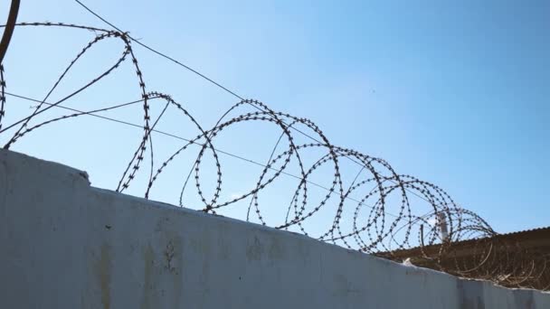 Betonová Zeď Ostnatým Drátem Proti Migrantům Vězeňský Koncept Záchrana Uprchlík — Stock video