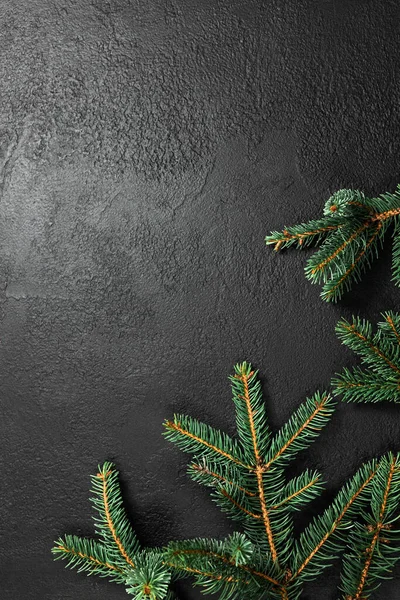 Xmas Fir Tree Branches Frame Black Background Flat Lay Top — Stock Photo, Image