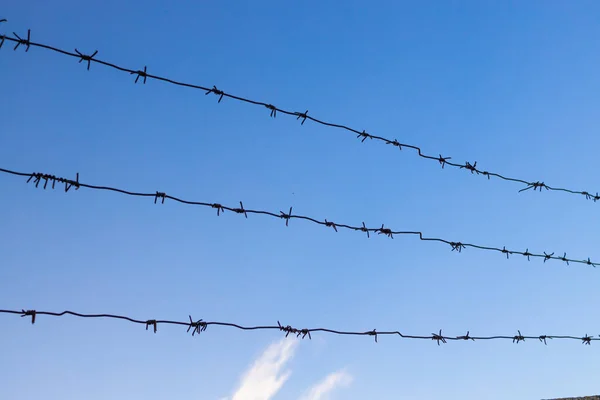 Barbed Wire Fence Blue Sky Background Dangerous Area — Stock Photo, Image
