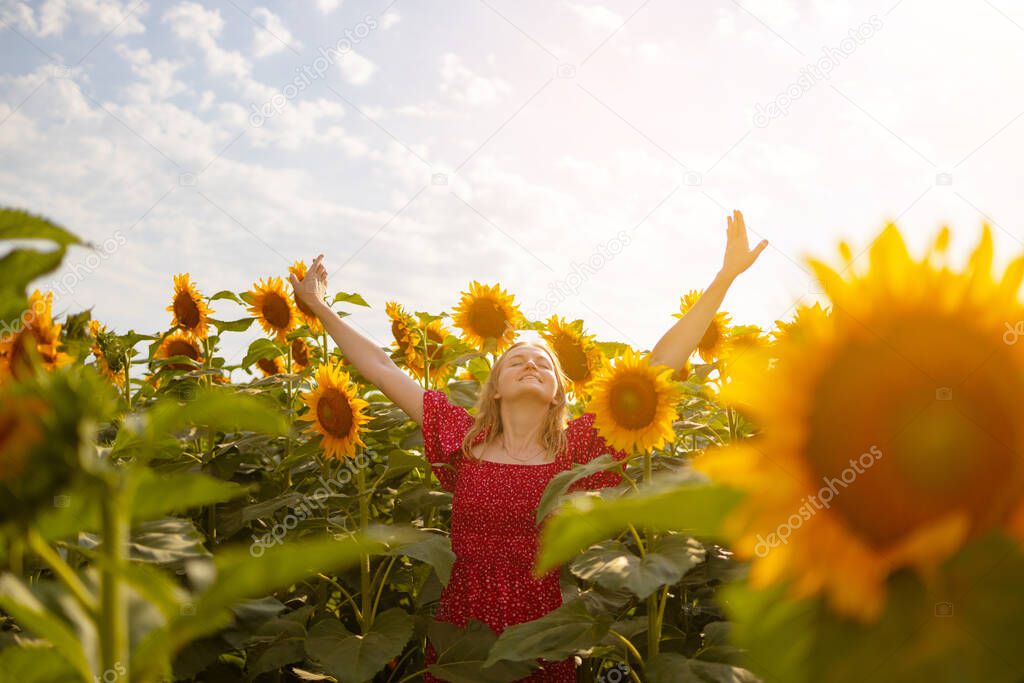 Freedom caucasian millennium girl with blond long hair in the rays of sunlight in a sunflower field in summer. Happy young woman with hands up