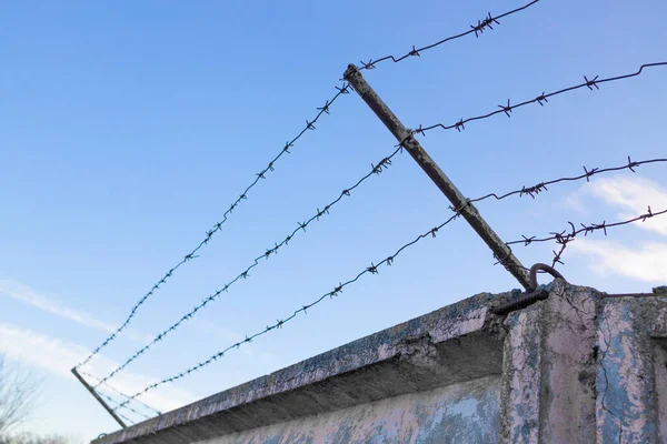 Spiky Wire Fence Prison Barbed Fence Blue Sky Background Dangerous — Stock Photo, Image