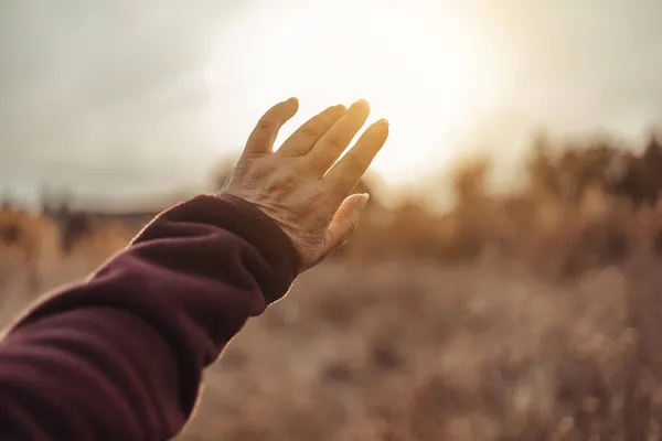 Mano Femenina Busca Luz Solar Brillante Durante Puesta Del Sol — Foto de Stock