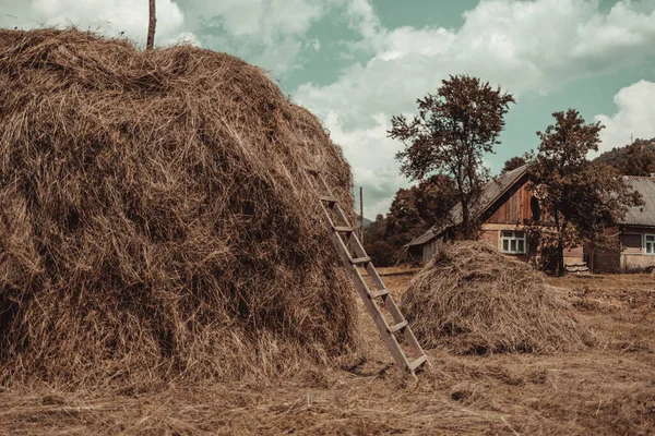 Haystack Sur Terrain Haute Montagne Dans Village — Photo