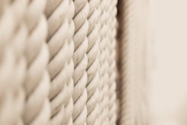 Beyaz arka planda güçlü beyaz ipler dik duruyor.