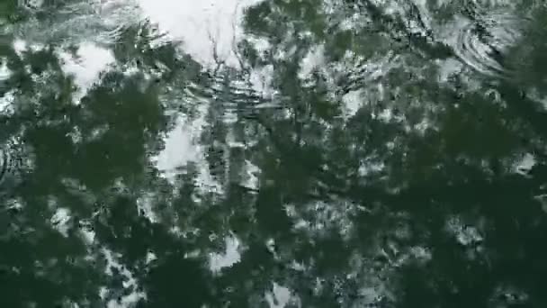 Takken Van Groene Bomen Weerspiegeld Een Plas Regen Druppels Vallen — Stockvideo