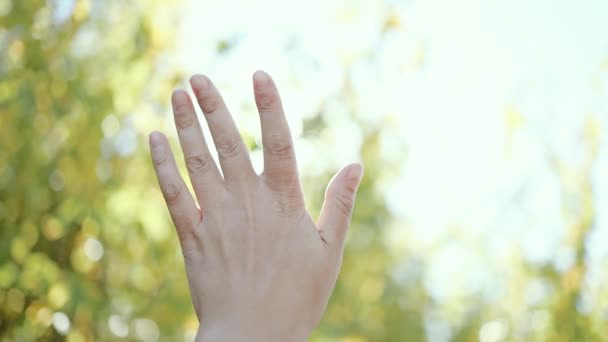 Rayons Solaires Travers Les Doigts Main Féminine Sur Fond Coucher — Video