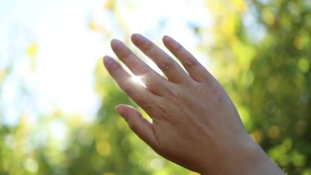 Mão Feminina Perto Pôr Sol Raios Solares Através Dos Dedos — Vídeo de Stock