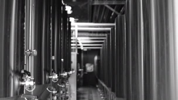 Private microbrewery. Modern beer plant with brewering kettles, tubes and tanks made of stainless steel — Stock Video
