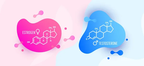 Hormonas Estrógeno Testosterona Fórmula Esquelética Molecular Con Formas Líquido Color — Vector de stock