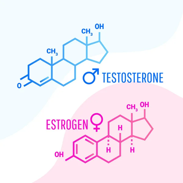 Oestrogeen Testosteron Hormonen Moleculaire Skelet Formule Met Vloeibare Vloeistof Vormen — Stockvector